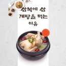 말복에 삼계탕을 먹어야 하는 특별한 이유 (ft.초복, 중복, 말복)