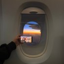 11650-1-10-601 | 인천 시드니 아시아나항공 OZ601 좌석 배치도 기내식 충전