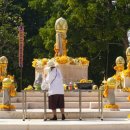 매일 2번 운행하는 무료 트램을 타고서 둘러보는 태국 치앙라이(Chiang Rai)시내투어(City Tour) 이미지