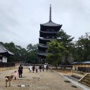 세계여행기 324-일본 나라(奈良) 이미지