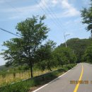 용암면사무소 앞 이미지