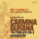 제51회정기연주회 이미지