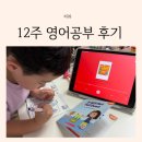 처음 시작하는 영어그림책 | 5세 유아영어 스콜라스틱사이트워드로 12주 엄마표영어 후기