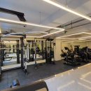 머슬베어pt 신길점 이미지