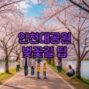 인천대공원 내 정문 호수정원 맞은편 | 인천 벚꽃 명소 인천대공원 벚꽃길 주차팁