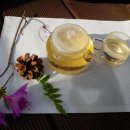 거창 항노화 힐링랜드 이미지