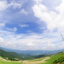 매봉산 바람의언덕 이미지