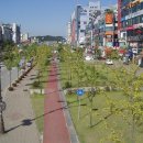 철로변녹지대 이미지