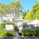 352 | [다낭 가족여행] 프리미어 빌리지 352호 리얼후기🌴 추석에 다녀온 인생 리조트, 메인풀+스파까지 완벽✨