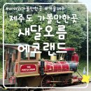 번영로 17 앞 | 11월, 12월 겨울 제주도 여행 가볼만한곳, 제주도 아이와 가볼만한곳:새별 오름 &amp; 에코랜드 방문 후기