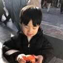 연초부르스 이미지