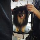 웨그앤코 이미지