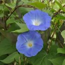 맑음터공원-A 이미지