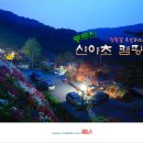 산야초오토캠핑장 이미지