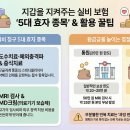 본전실비