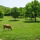 정우농장 이미지