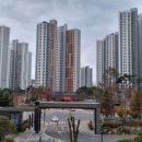 W부동산공인중개사사무소 이미지