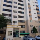 천안신안초등학교 이미지