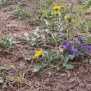 이시아호텔 이미지