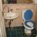 선화초교 이미지