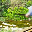 산수화펜션 이미지