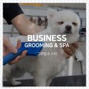 강아지공간 이미지