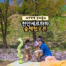 천안 아이와 가볼만한곳 세르파파 천안점 숲체험 부모 분리수업 예약