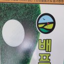 배프로골프아카데미