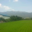 운수동농장 이미지