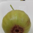 덕곡주유소 이미지