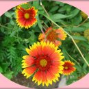 가나안식당 이미지