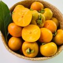 지당농장 이미지