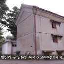 장금호농장 이미지