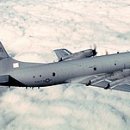 P-3 네이버블로그