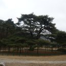 경북대 담장쪽 | 속리산 "법주사" 에서 경북대학교 기계과 제1회 동문회 모임에서 가져본 내용을 기록한다.