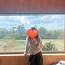 투스노스 이미지