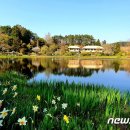은빛파도 이미지