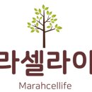 마라셀라이프