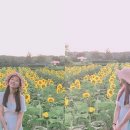 와야농장 이미지