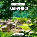나고야 근교 여행 다카야마 시라카와고 혼자 버스투어 후기