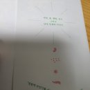 릴리언 이미지