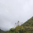 오색 안터 펜션 이미지