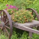 일영랜드 이미지