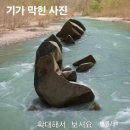 몸튼튼 마음튼튼 실버운동교실 | 군포 주간보호 센터로 용인, 수 원, 군포 실버강사 이성애 실버노래교실 수업하러 고고씽!