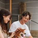 라파엘동물병원 이미지