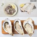 산지닷컴