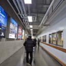 코스트코 대구혁신점 | 대구 코스트코코리아 대구혁신점 방문후기 위치 대구대학 원룸 생활용품 장보기