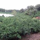 상예동-1 이미지