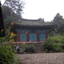 덕산면009 Daum카페