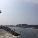 바다에걸린별 이미지